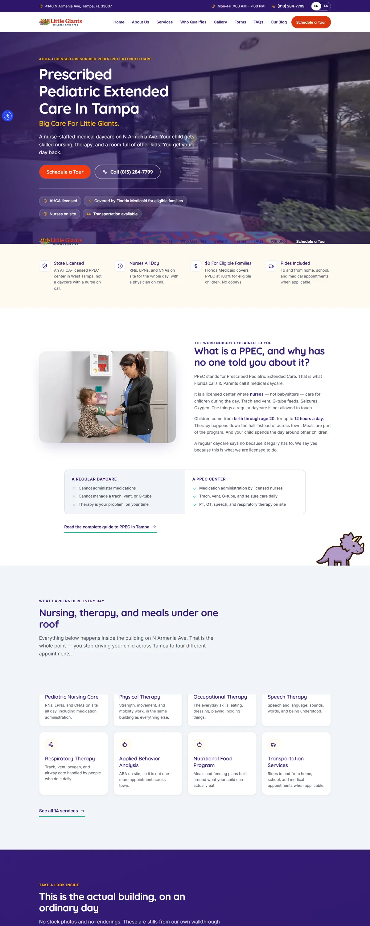 Little Giants homepage, built by Assure Digital Media